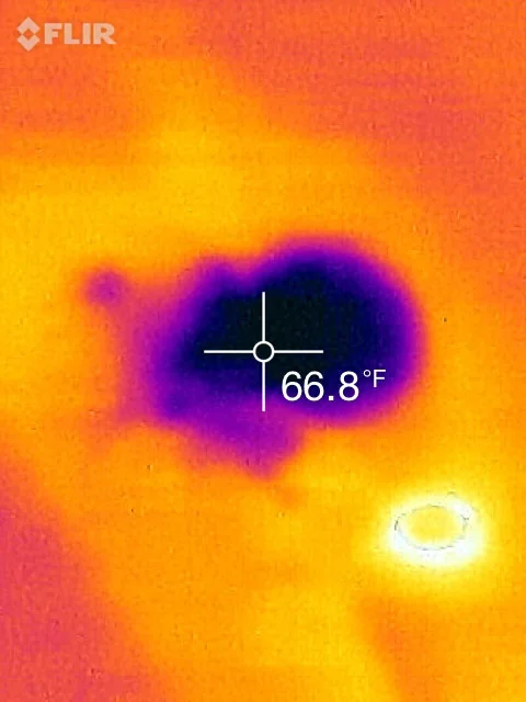 Thermal image showing a cold, damp area consistent with water damage